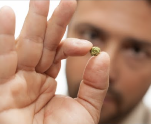 man holding small amount of green