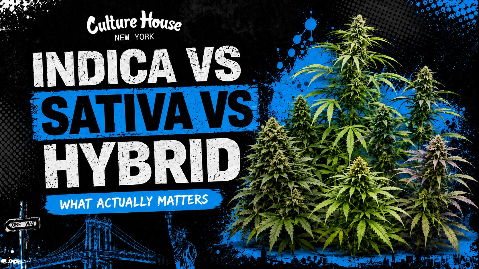 Indica vs Sativa vs Hybrid: What Actually Matters